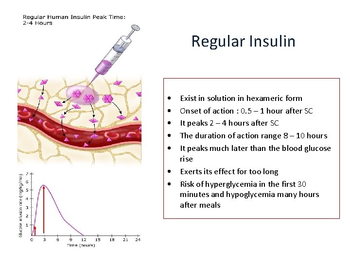 Regular Insulin • • • Exist in solution in hexameric form Onset of action