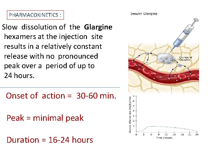PHARMACOKINETICS : Slow dissolution of the Glargine hexamers at the injection site results in