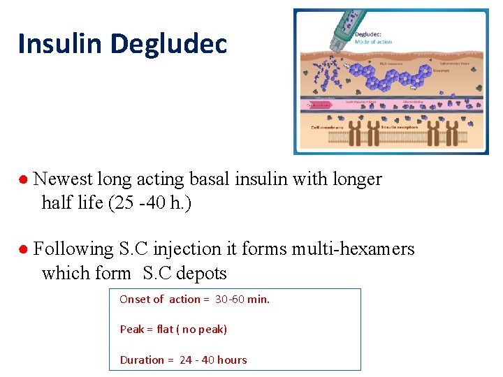 Insulin Degludec ● Newest long acting basal insulin with longer half life (25 -40