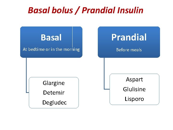 Basal bolus / Prandial Insulin Basal Prandial At bedtime or in the morning Before