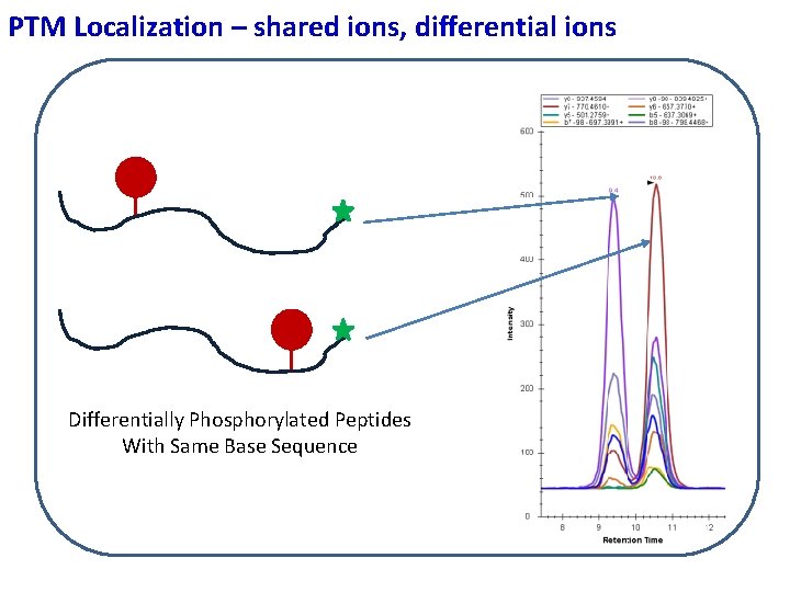 PTM Localization – shared ions, differential ions Differentially Phosphorylated Peptides With Same Base Sequence PTM Localization – shared ions, differential ions Differentially Phosphorylated Peptides With Same Base Sequence