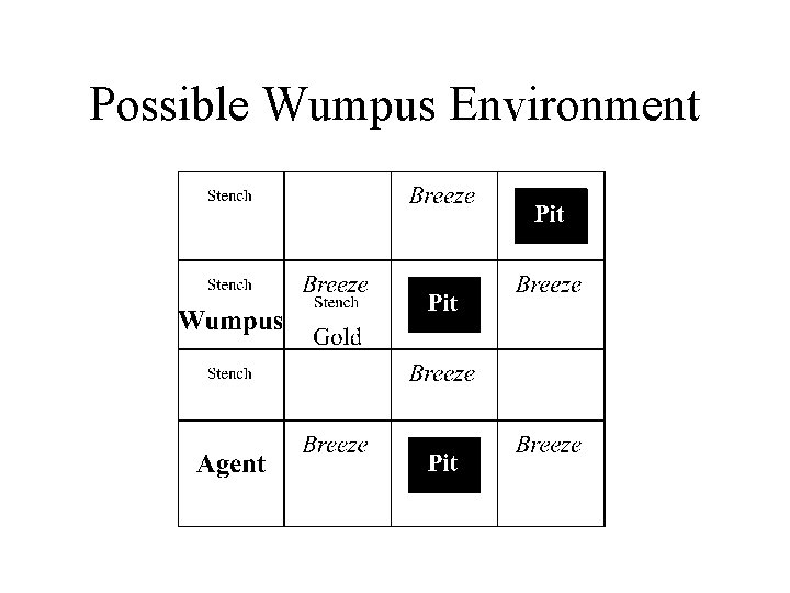 Possible Wumpus Environment 