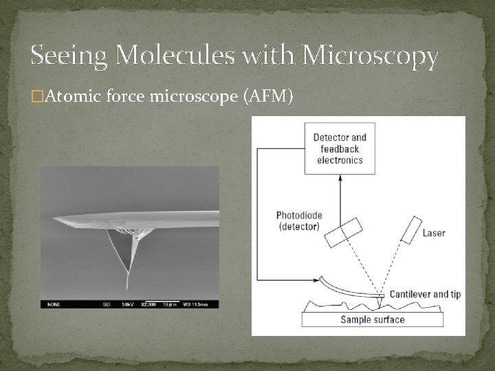 Seeing Molecules with Microscopy �Atomic force microscope (AFM) 