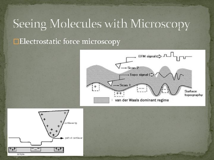 Seeing Molecules with Microscopy �Electrostatic force microscopy 