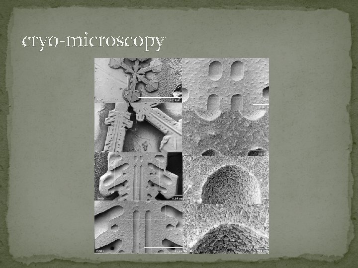 cryo-microscopy 