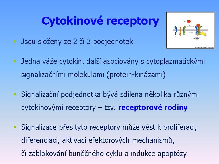 Cytokinové receptory § Jsou složeny ze 2 či 3 podjednotek § Jedna váže cytokin,