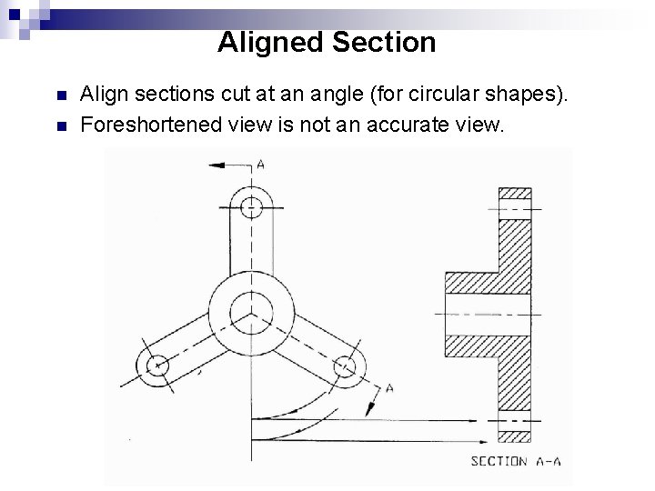 Aligned Section n n Align sections cut at an angle (for circular shapes). Foreshortened