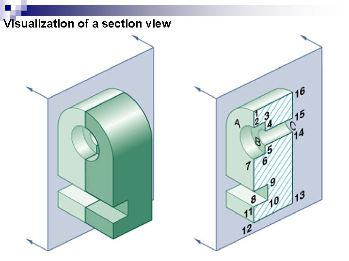 Visualization of a section view 