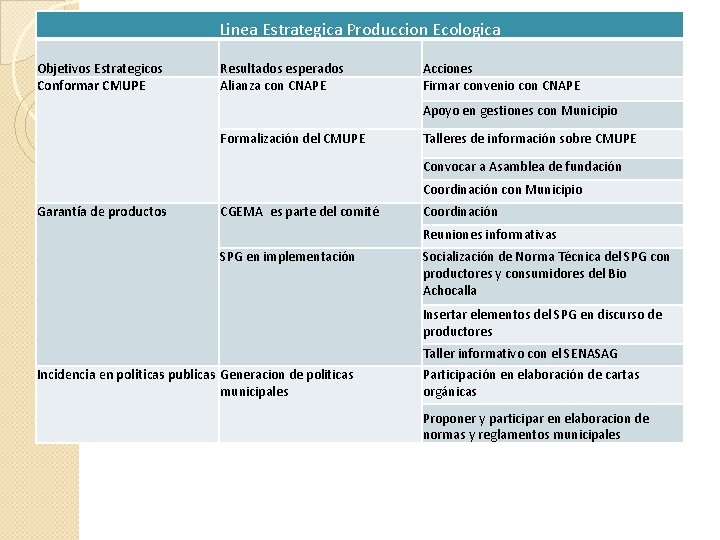Linea Estrategica Produccion Ecologica Objetivos Estrategicos Conformar CMUPE Resultados esperados Alianza con CNAPE Acciones