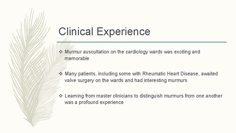 Clinical Experience v Murmur auscultation on the cardiology wards was exciting and memorable v