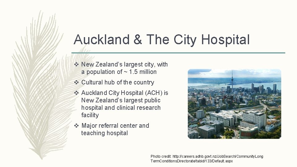 Auckland & The City Hospital v New Zealand’s largest city, with a population of