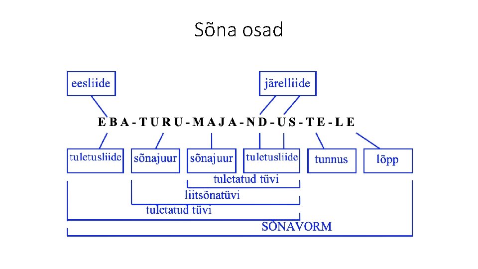 Sõna osad 