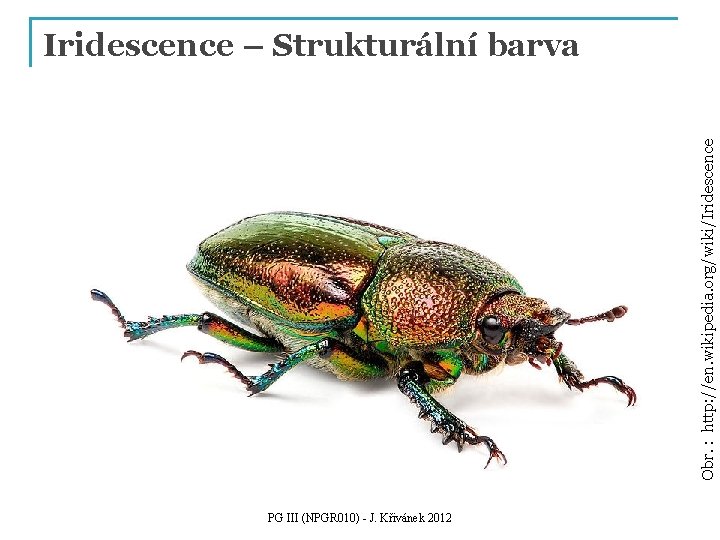 Obr. : http: //en. wikipedia. org/wiki/Iridescence – Strukturální barva PG III (NPGR 010) -