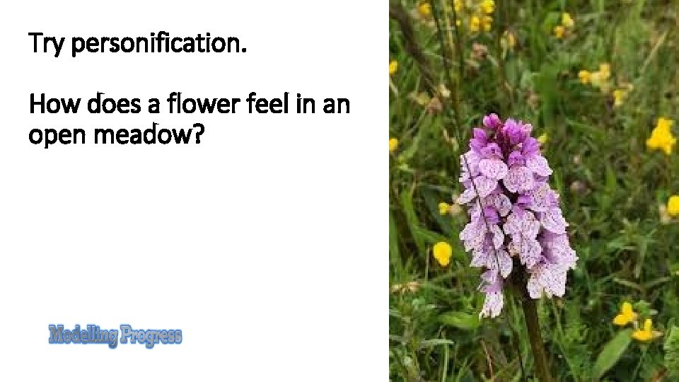 Try personification. How does a flower feel in an open meadow? 