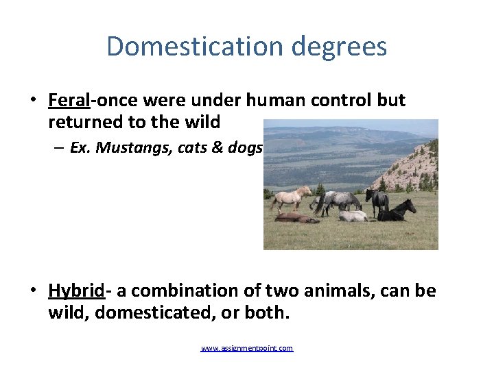 Domestication degrees • Feral-once were under human control but returned to the wild –