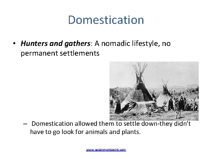 Domestication • Hunters and gathers: A nomadic lifestyle, no permanent settlements – Domestication allowed