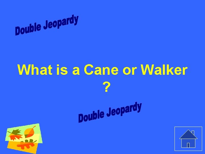 What is a Cane or Walker ? 