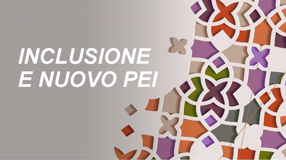 INCLUSIONE E NUOVO PEI 