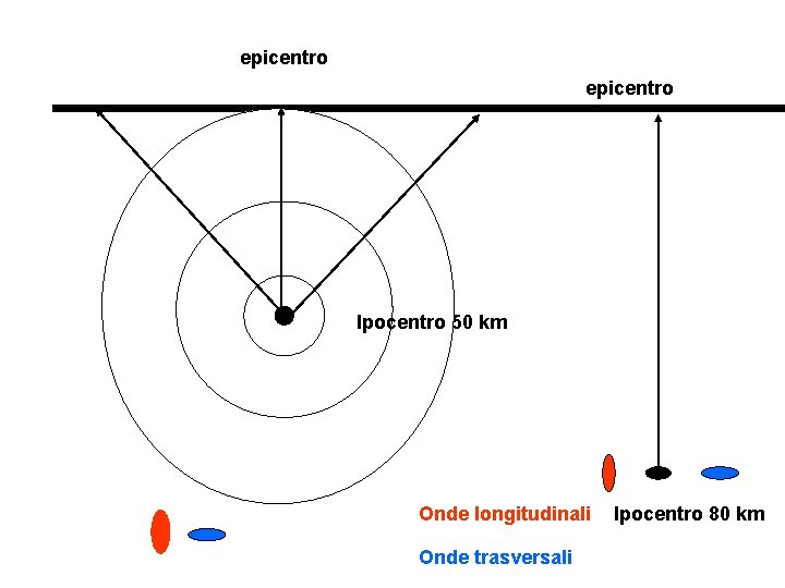 epicentro Ipocentro 50 km Onde longitudinali Onde trasversali Ipocentro 80 km 