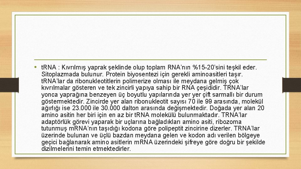  • t. RNA : Kıvrılmış yaprak şeklinde olup toplam RNA’nın %15 -20’sini teşkil