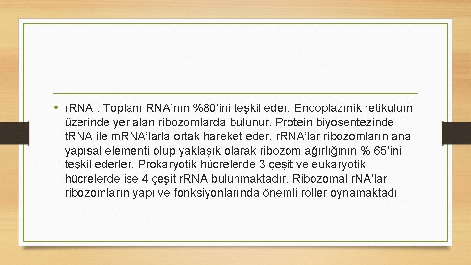  • r. RNA : Toplam RNA’nın %80’ini teşkil eder. Endoplazmik retikulum üzerinde yer