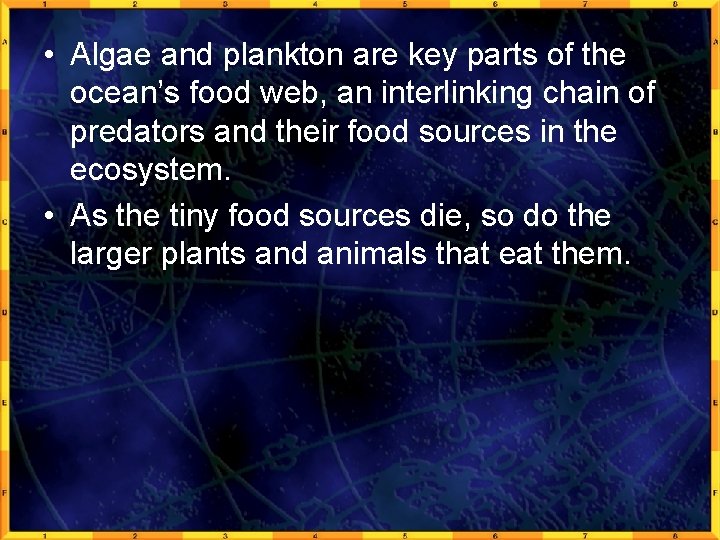  • Algae and plankton are key parts of the ocean’s food web, an