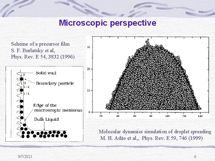 Microscopic perspective Scheme of a precursor film S. F. Burlatsky et al, Phys. Rev.