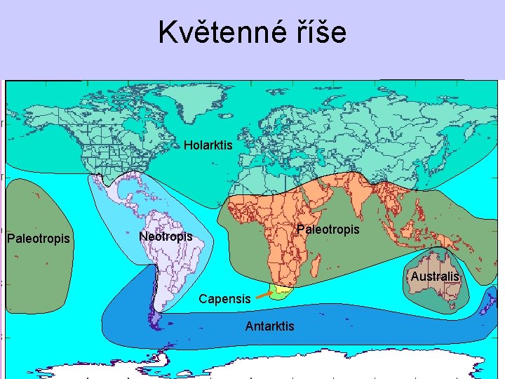 Květenné říše Holarktis Paleotropis Neotropis Australis Capensis Antarktis 