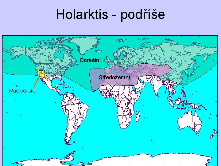 Holarktis - podříše Boreální Středozemní Madreánská 