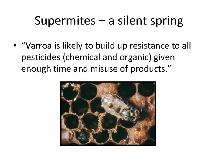 Supermites – a silent spring • “Varroa is likely to build up resistance to