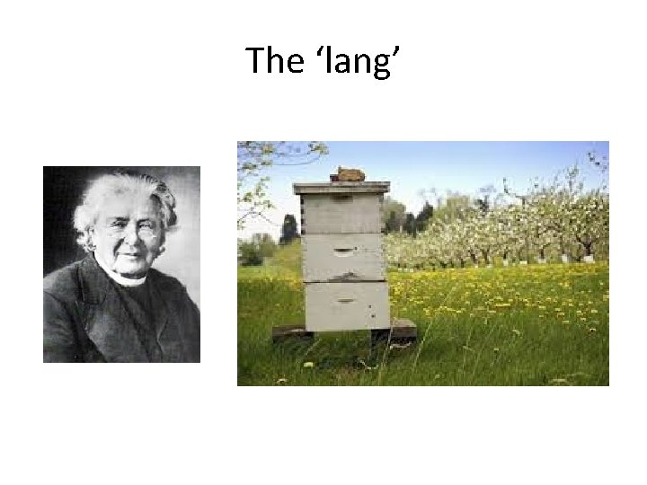 The ‘lang’ 