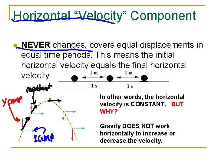 Horizontal “Velocity” Component n NEVER changes, covers equal displacements in equal time periods. This