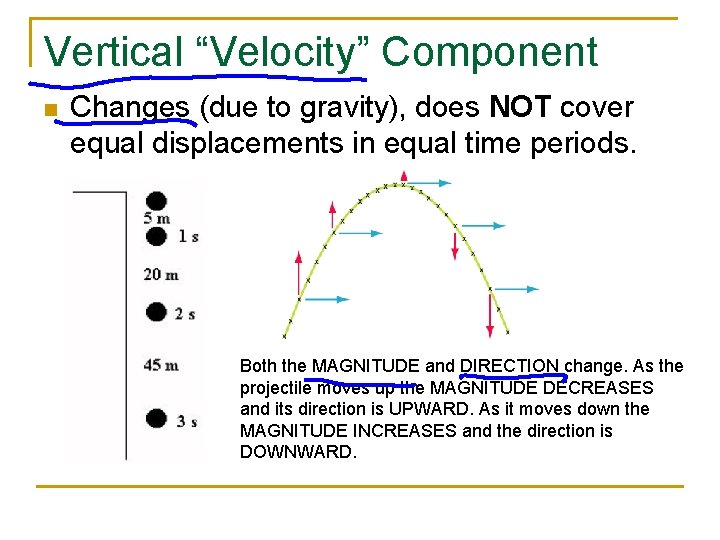 Vertical “Velocity” Component n Changes (due to gravity), does NOT cover equal displacements in