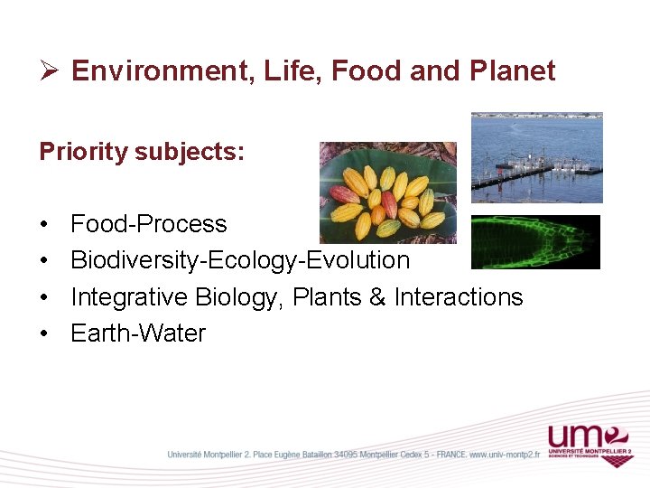 Ø Environment, Life, Food and Planet Priority subjects: • • Food-Process Biodiversity-Ecology-Evolution Integrative Biology,