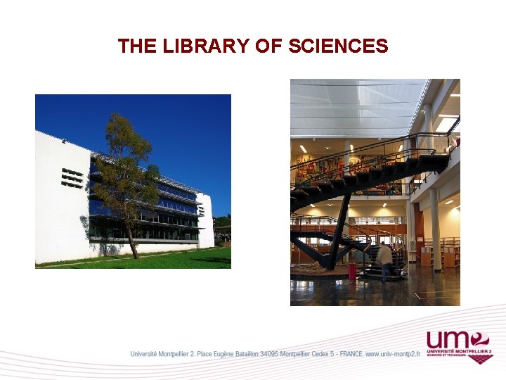 THE LIBRARY OF SCIENCES 