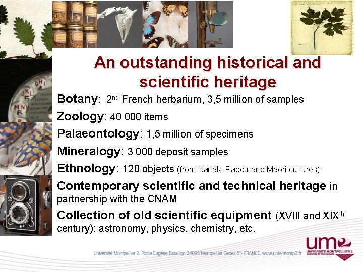 An outstanding historical and scientific heritage Botany: 2 nd French herbarium, 3, 5 million