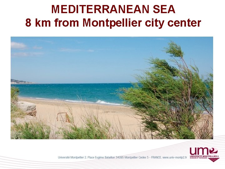 MEDITERRANEAN SEA 8 km from Montpellier city center 