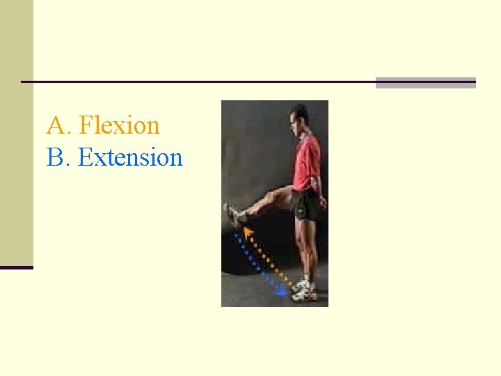 A. Flexion B. Extension 