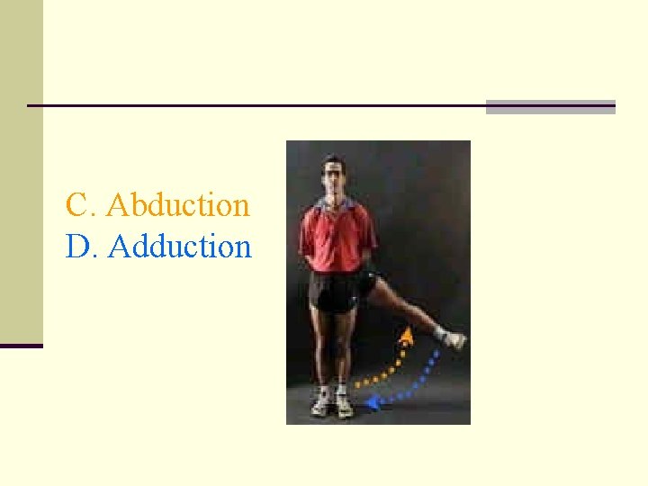 C. Abduction D. Adduction 
