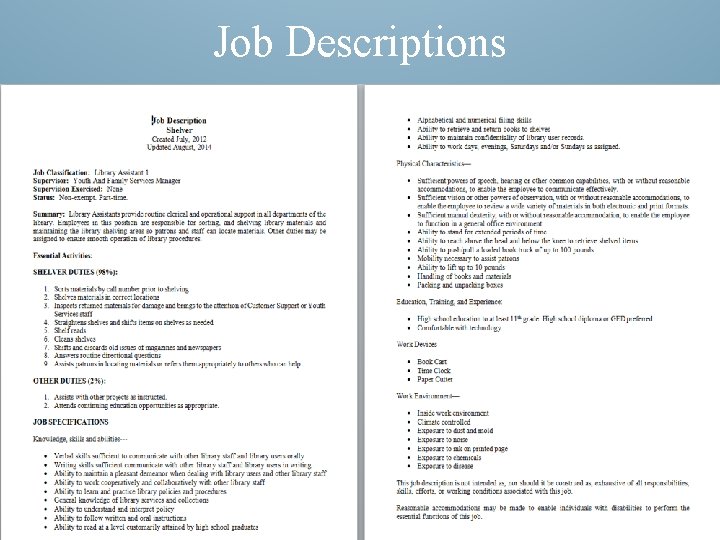 Job Descriptions 