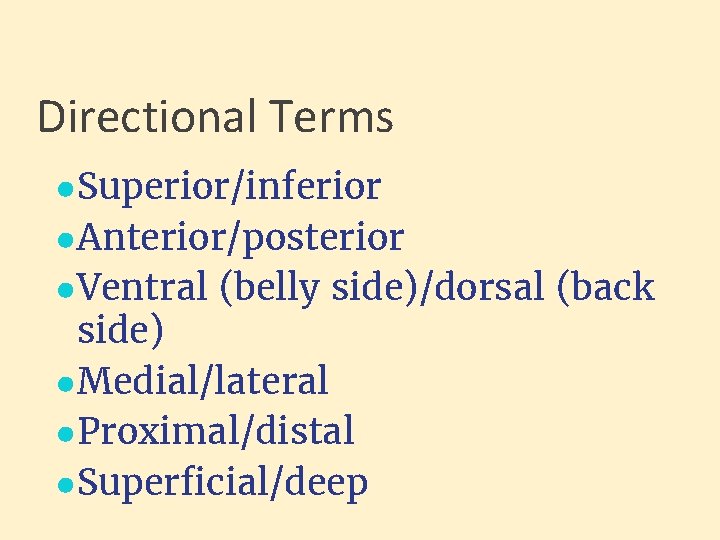 Directional Terms ●Superior/inferior ●Anterior/posterior ●Ventral (belly side)/dorsal (back side) ●Medial/lateral ●Proximal/distal ●Superficial/deep 