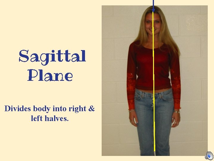 Sagittal Plane Divides body into right & left halves. 