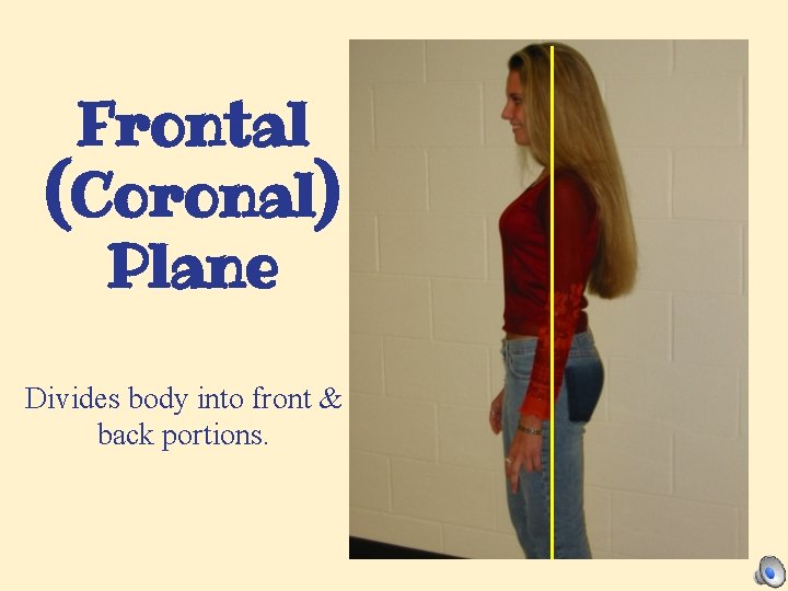 Frontal (Coronal) Plane Divides body into front & back portions. 