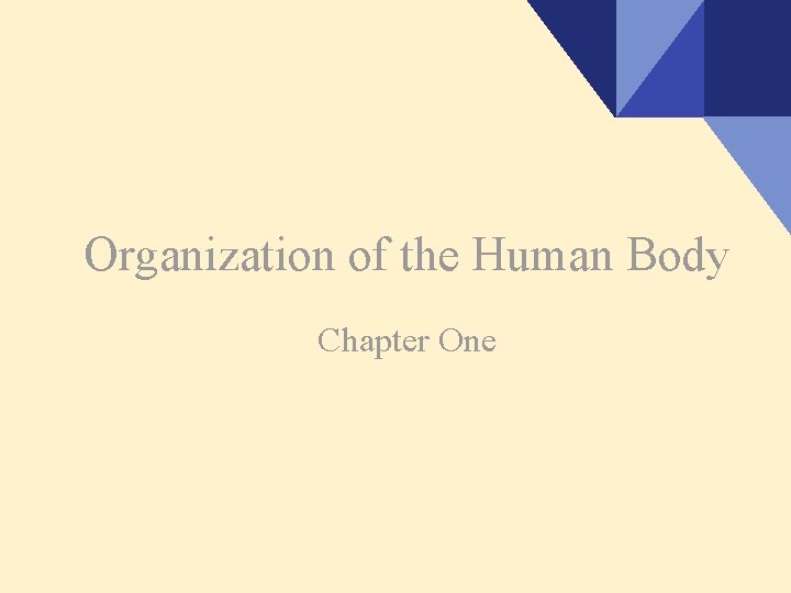 Organization of the Human Body Chapter One 