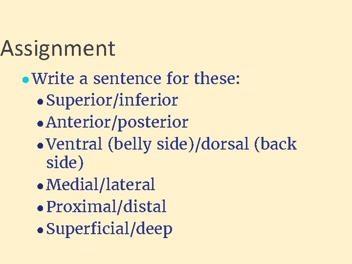 Assignment ● Write a sentence for these: ● Superior/inferior ● Anterior/posterior ● Ventral (belly