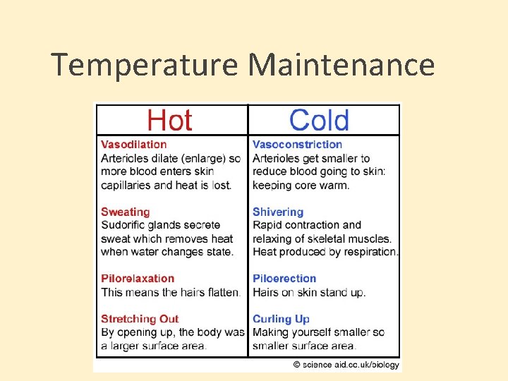 Temperature Maintenance 
