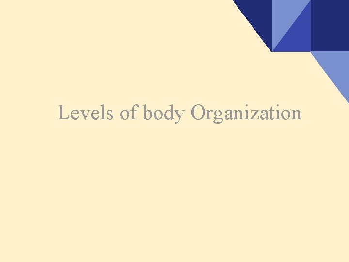 Levels of body Organization 