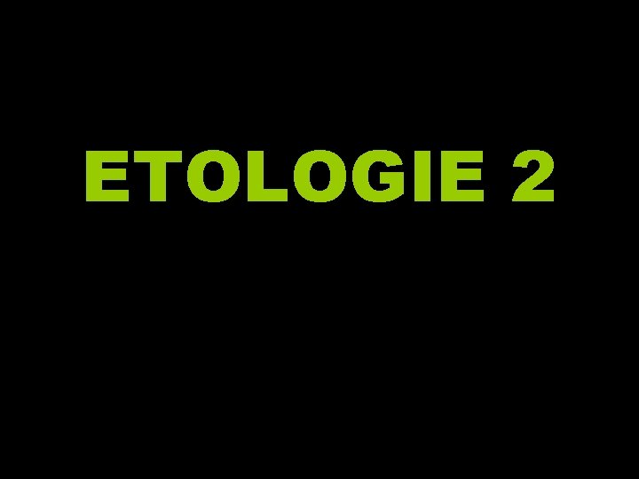 ETOLOGIE 2 