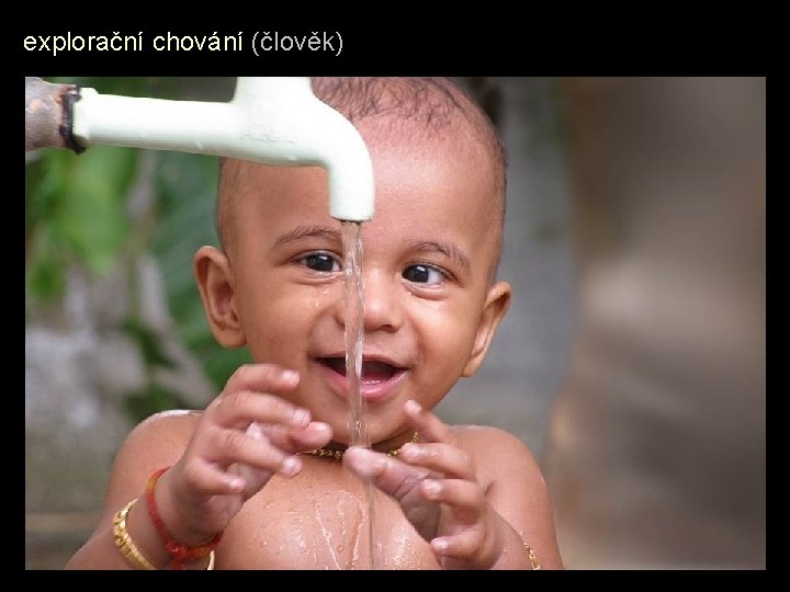 explorační chování (člověk) explorační chování (člověk)