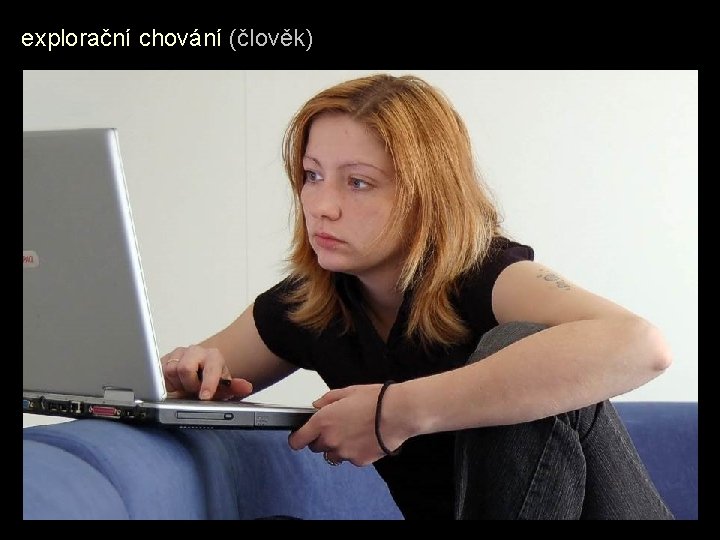 explorační chování (člověk) explorační chování (člověk)